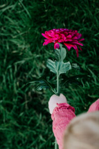 Minishoot in Oosterwolde, Friesland: De Wildflower Tales Mini Sessions